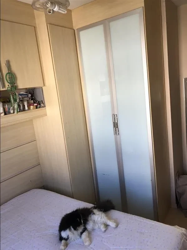 Imagem Casa de Condomínio com 3 Quartos à Venda, 76 m² em Vila Curuçá - São Paulo