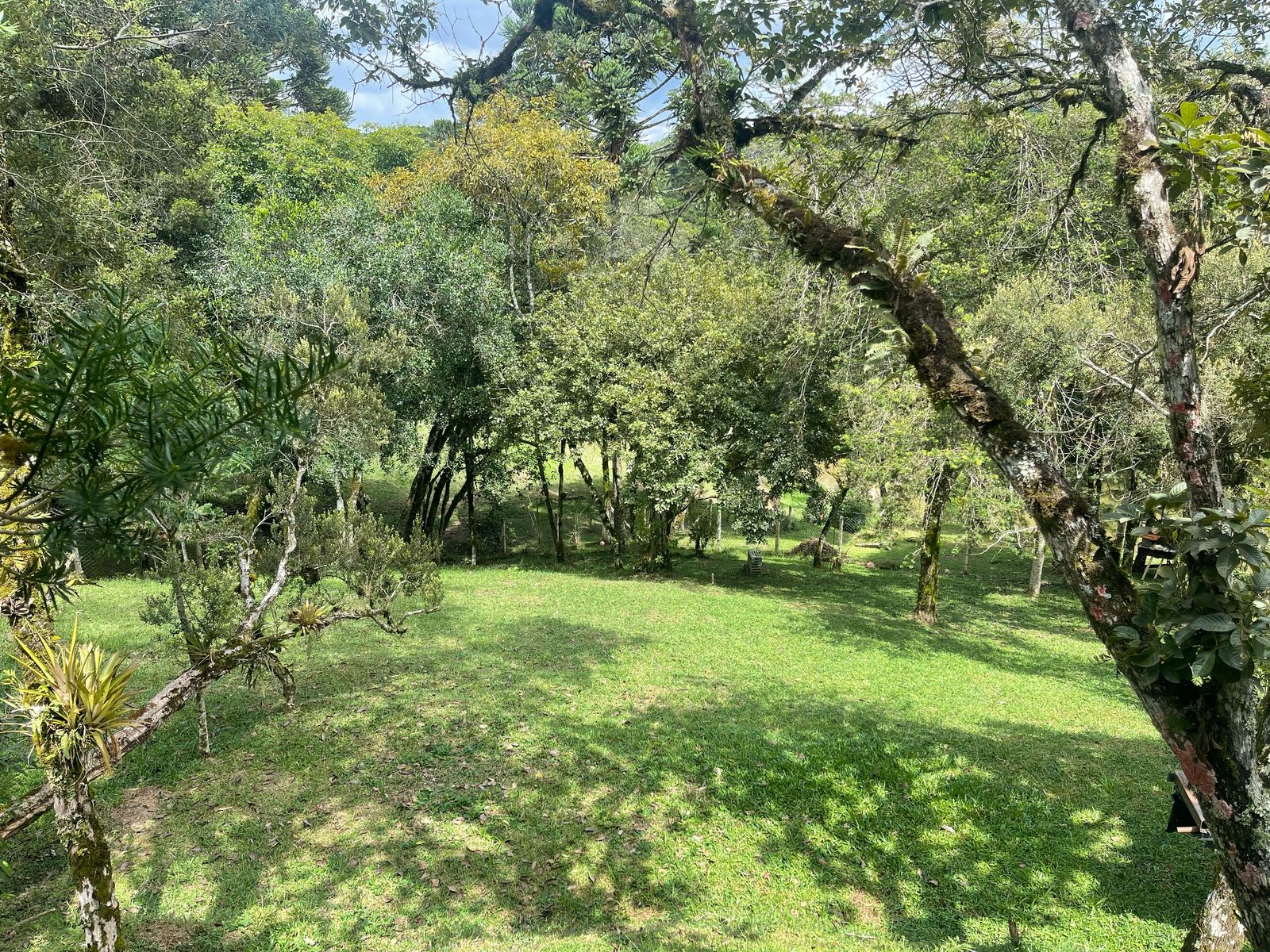 Foto do imóvel: Chácara com 3 Quartos à Venda, 6.800 m² em Salgadinho - Campo Largo