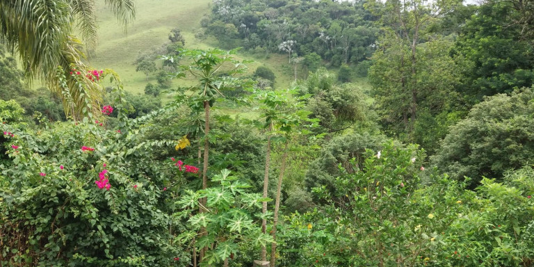 Imagem Chácara com 3 Quartos à Venda, 72.000 m² em Centro - Santa Isabel