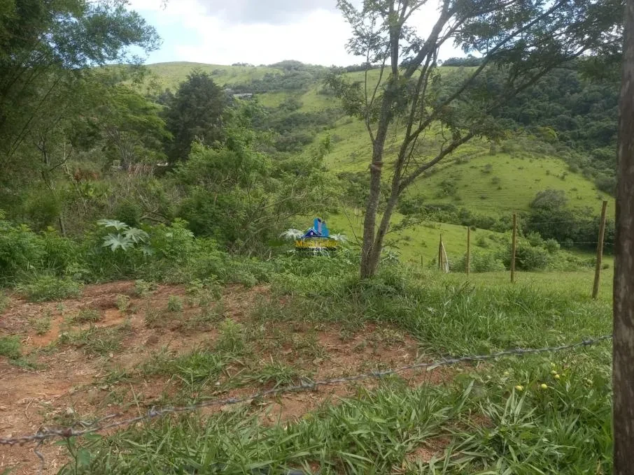 Imagem Chácara à Venda, 1666 m² em Capela Velha - Santana de Parnaíba