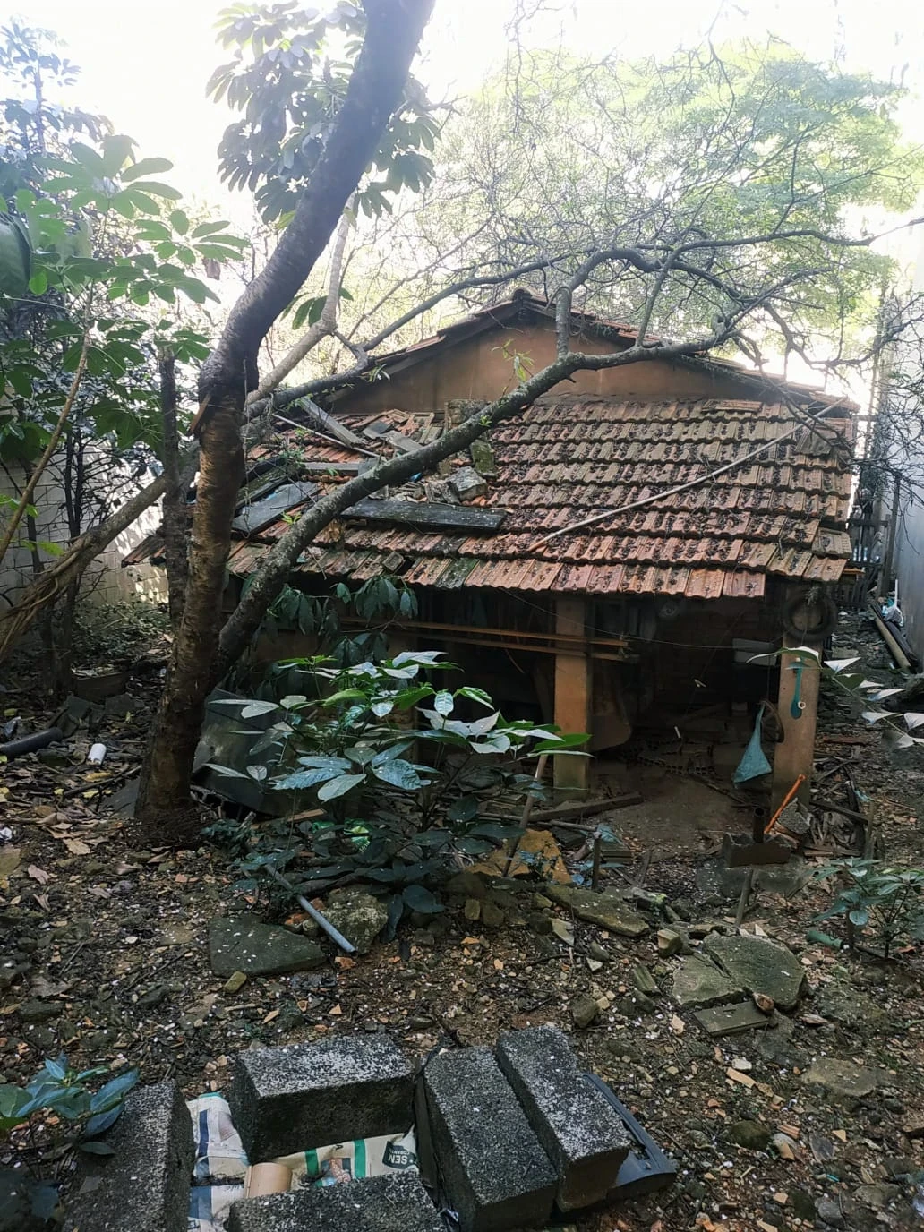 Imagem Terreno à Venda, 211 m² em Vila Matilde - São Paulo