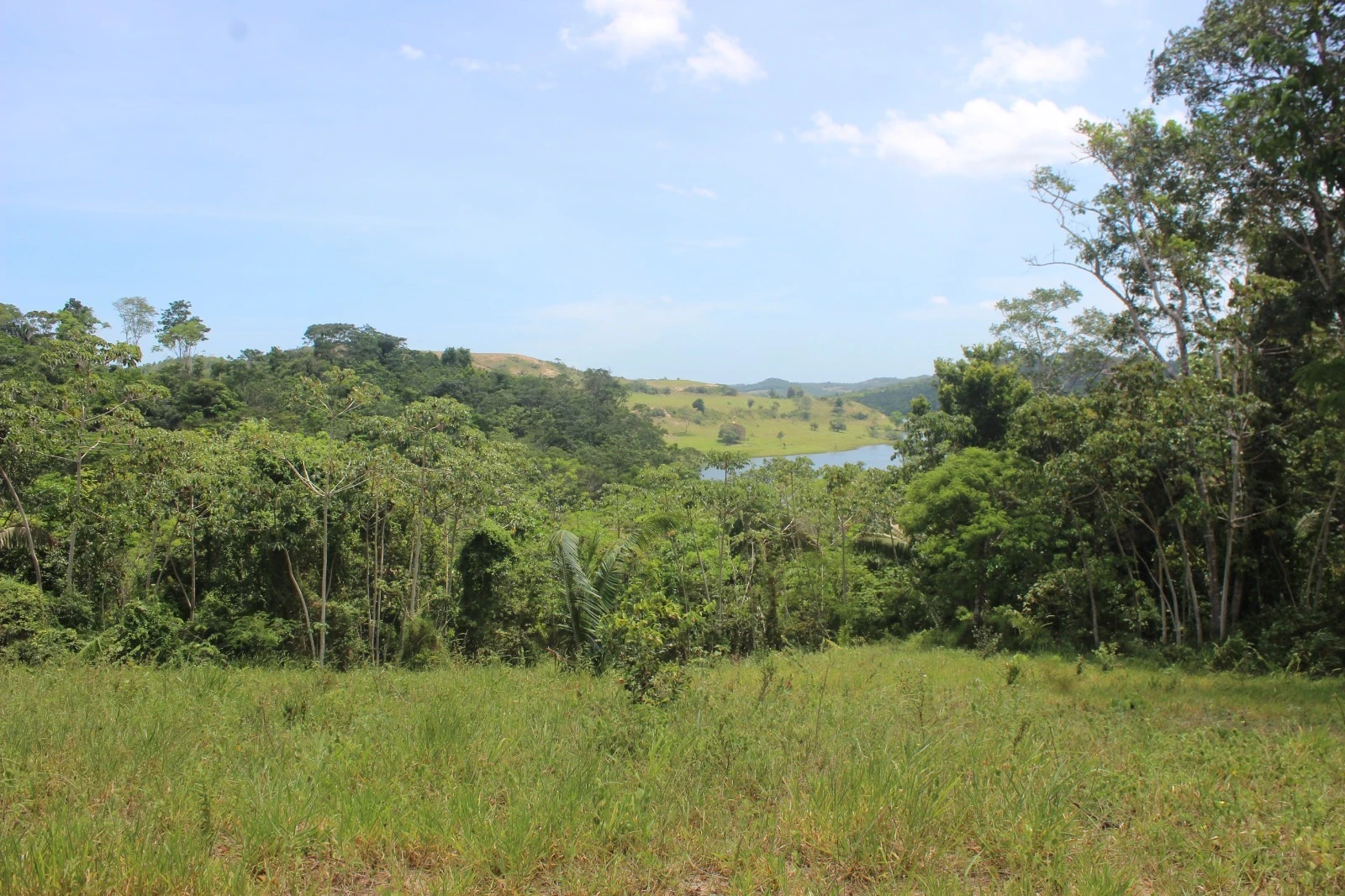 Foto do imóvel: Chácara com 2 Quartos à Venda, 20100 m² em Mata de São João - Mata de São João
