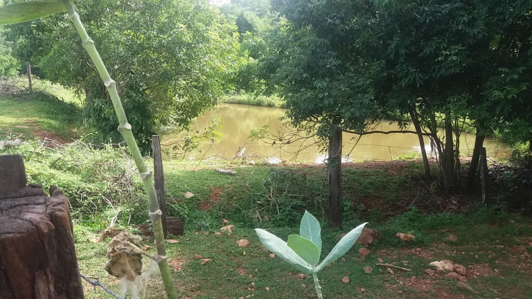 Imagem Fazenda à Venda, 54 Alq GOem Setor Central - Faina