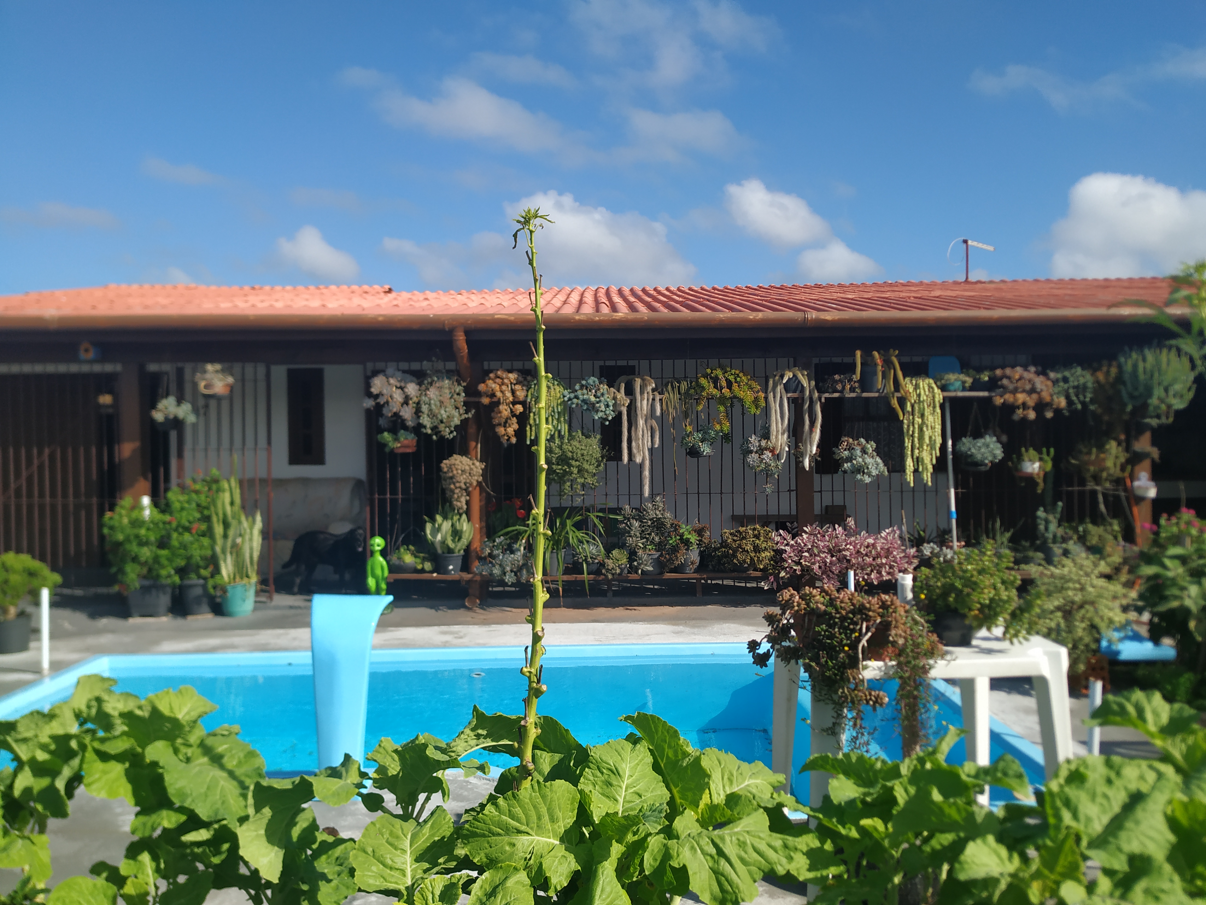 Imagem Casa com 4 Quartos à Venda, 205 m² em Jardim Atlântico - Tramandaí