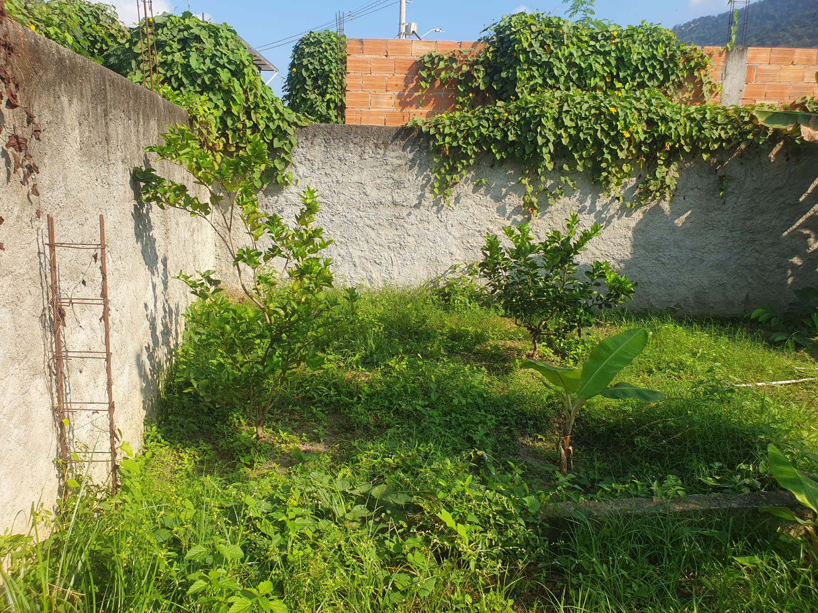 Imagem Terreno à Venda, 128 m² em Bangu - Rio de Janeiro