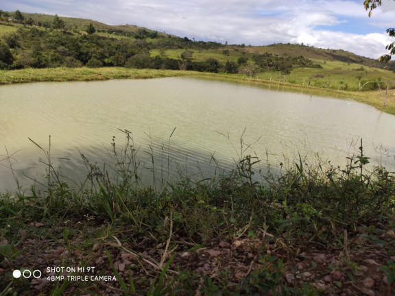Imagem Fazenda à Venda, 400.000m² em Girassol - Cocalzinho de Goiás