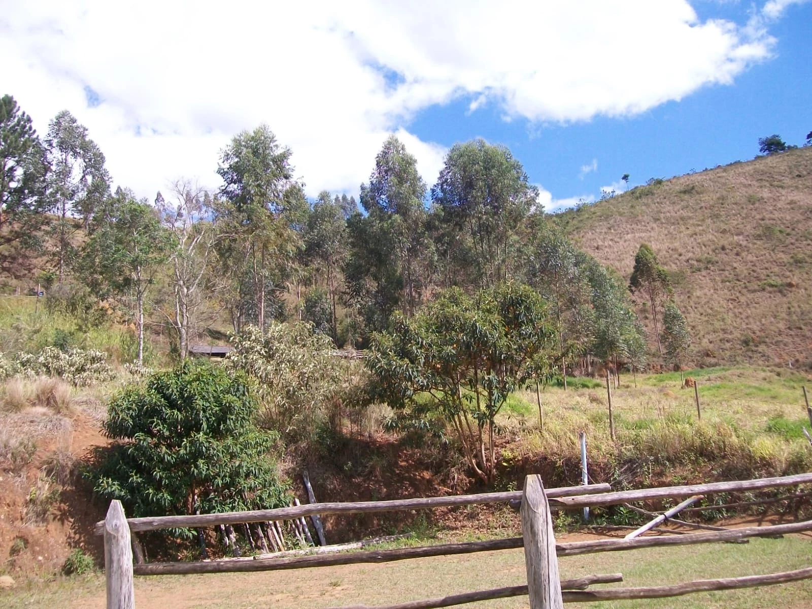 Imagem Chácara com 2 Quartos à Venda, 47.000 m² em Pirapitinga - Juiz de Fora