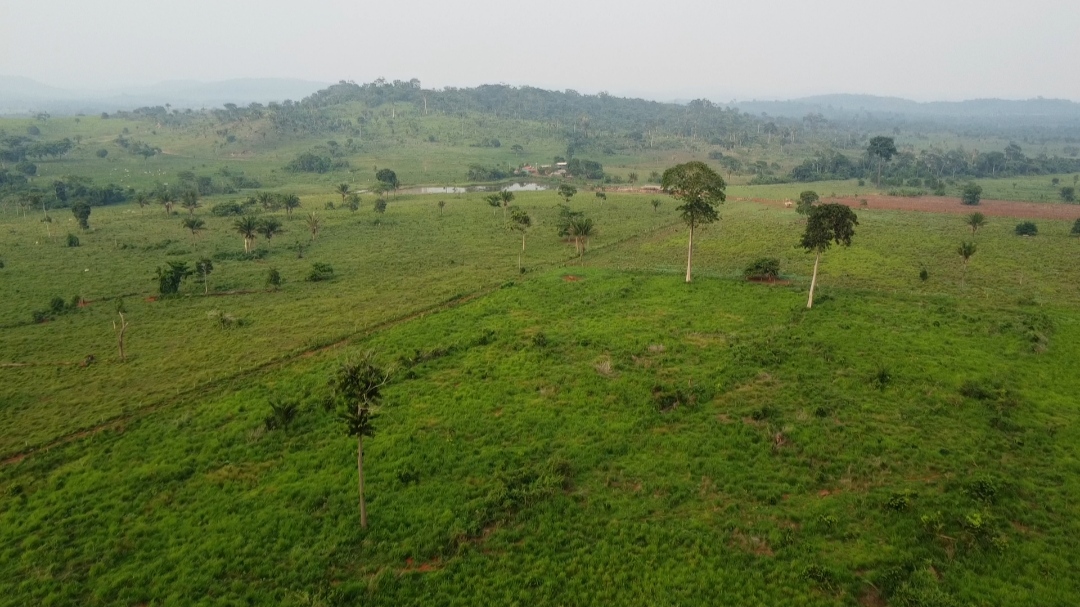 Foto do imóvel: Fazenda à Venda, 1 m²em Centro  - São Félix do Xingu