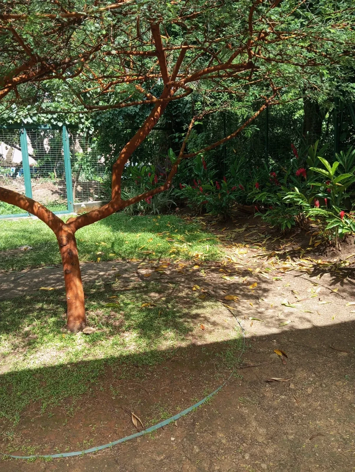 Foto do imóvel: Apartamento com 2 Quartos à Venda, 52 m² em Jacarepaguá - Rio de Janeiro