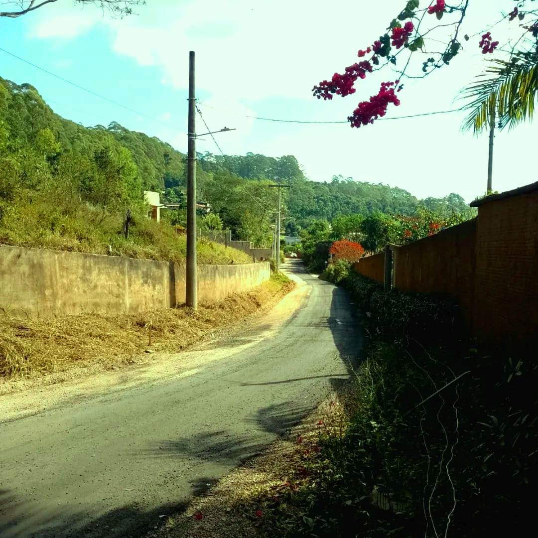 Imagem Chácara à Venda, 20.000 m² em Colinas - Poços de Caldas