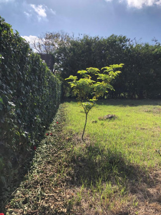 Imagem Terreno em Condomínio à Venda, 600 m² em Bonança - MORENO