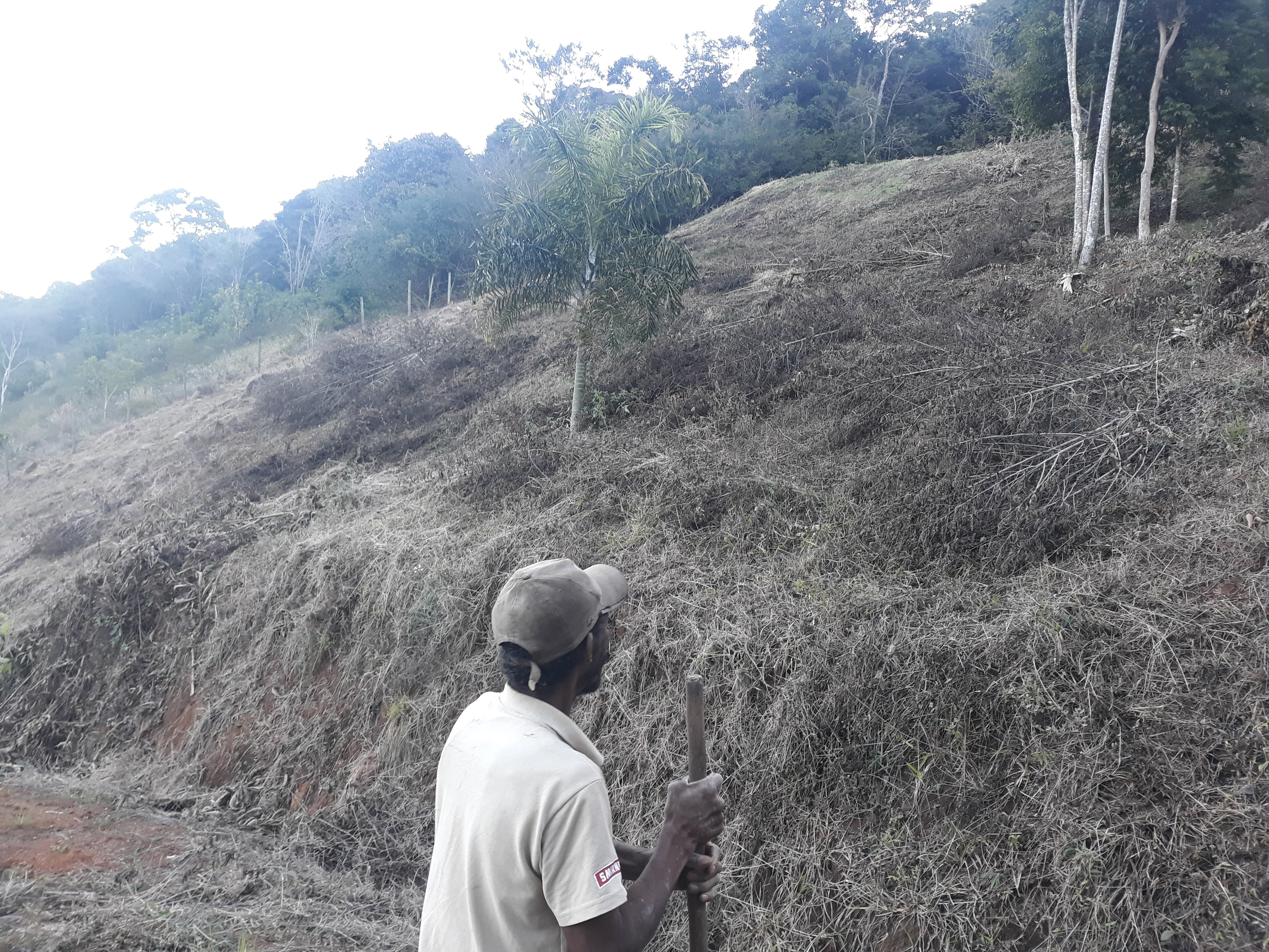 Imagem Terreno à Venda, em Torreões - Juiz de Fora