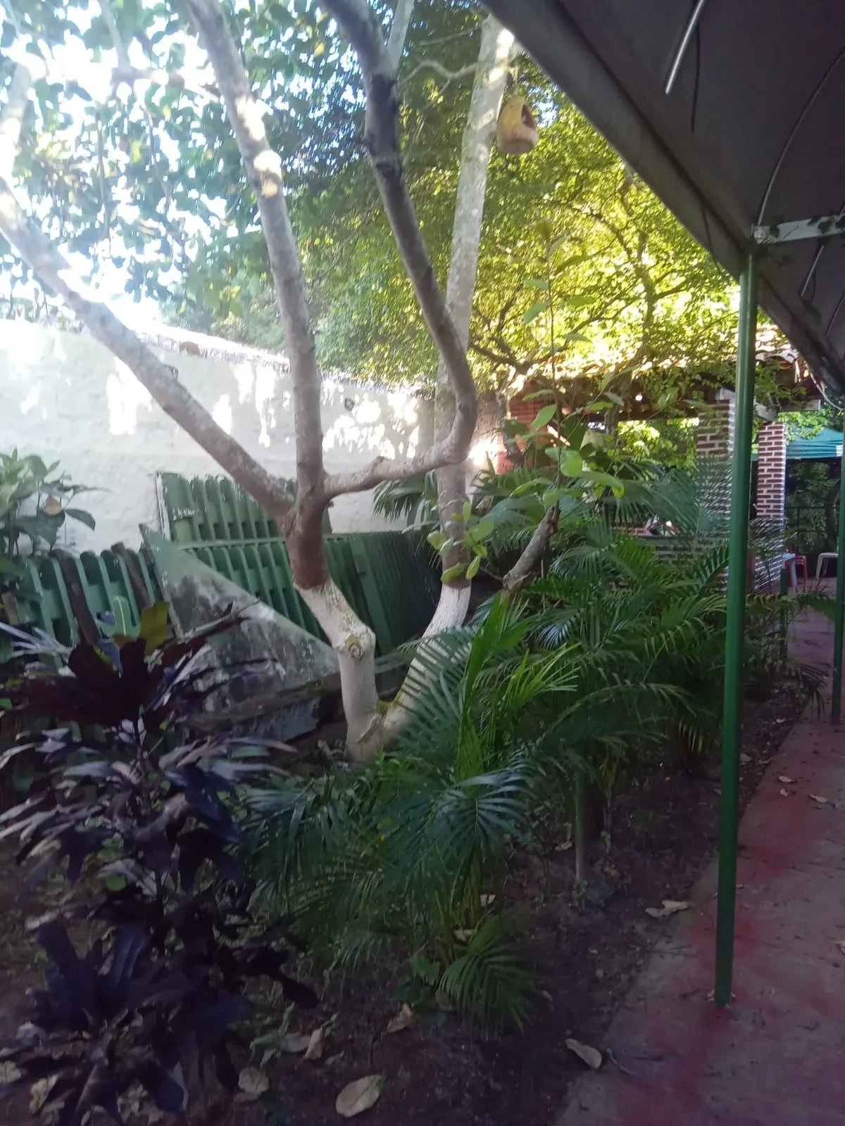 Imagem Casa de Condomínio com 4 Quartos para Alugar ou Temporada, 1000 m² em Paripe - Salvador