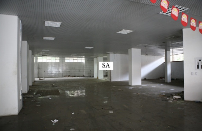 Imóvel Comercial à Venda, 5.000 m² em Maria Ortiz - Cachoeiro de Itapemirim