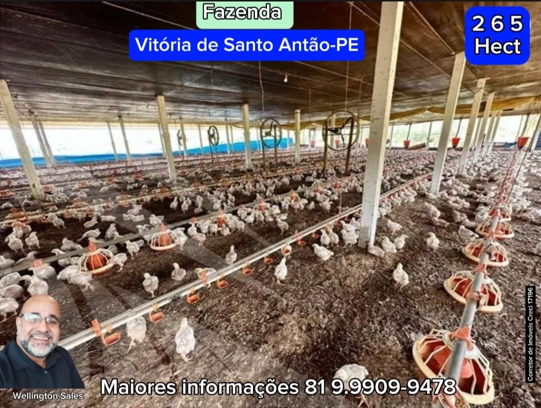 Imagem Imóvel com 4 Quartos à Venda, 265 m²em Área Rural de Vitória do Santo Antão - Vitória de Santo Antão