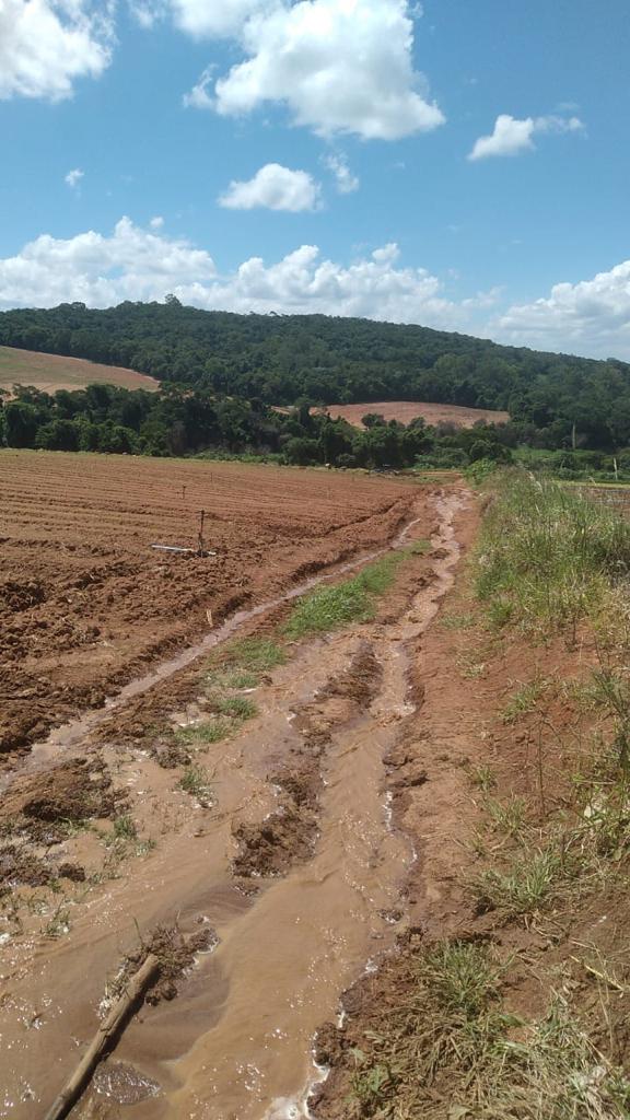 Foto do imóvel: Fazenda à Venda, 6 Alq. SP em Valadão - Piedade