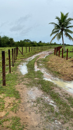 Imagem Chácara à Venda, 450.000 m² em Centro - Santo Antônio do Tauá