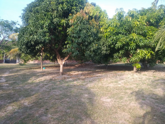 Imagem Terreno à Venda, 5.332 m² em Panaquatira - São José de Ribamar
