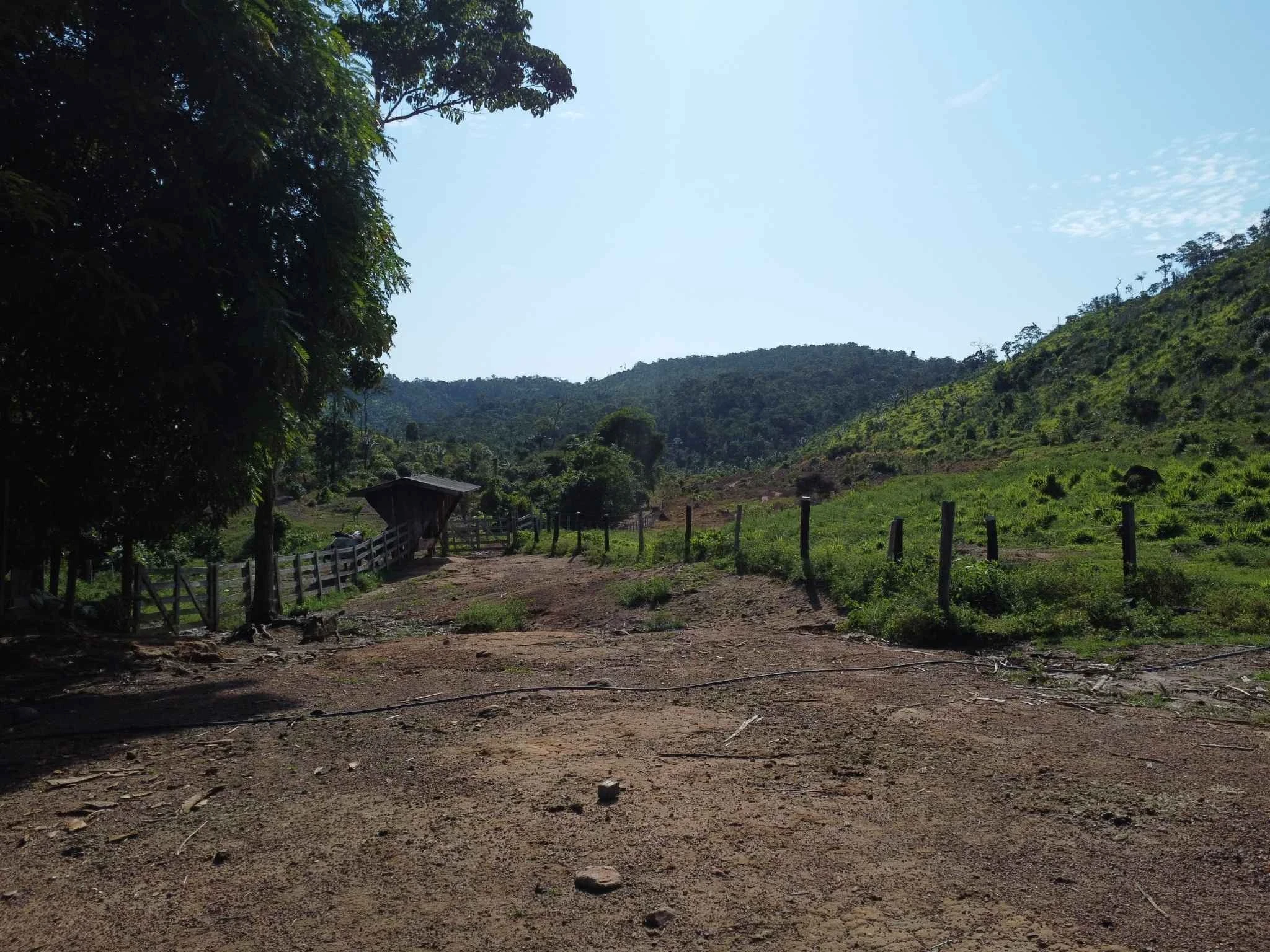Foto do imóvel: Fazenda à Venda, 90 Alq. GO em São Félix do Xingu - São Félix do Xingu