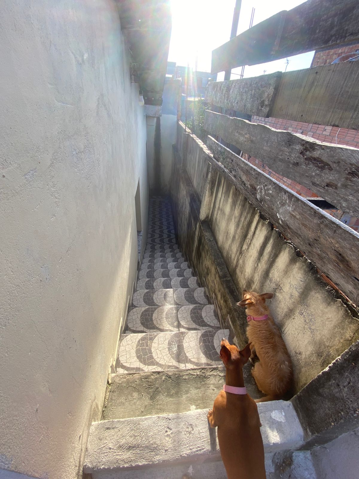 Imagem Casa com 3 Quartos à Venda, 57 m² em Novo Aleixo - Manaus