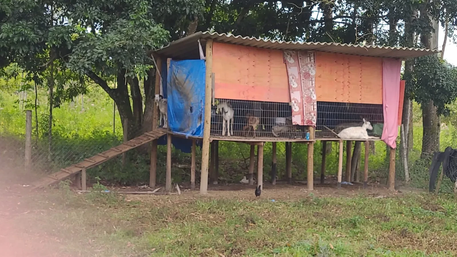 Imagem Chácara com 3 Quartos à Venda, 500 m² em Itariri - Itariri