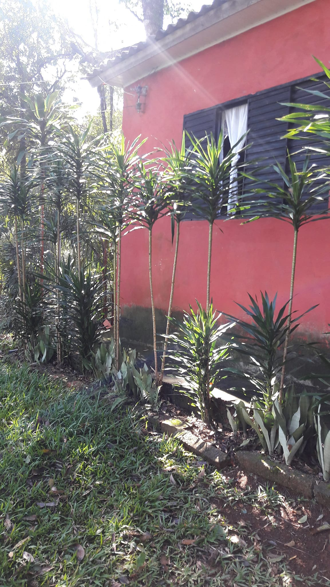 Foto do imóvel: Terreno à Venda, 3.200 m²em Efapi - Chapecó
