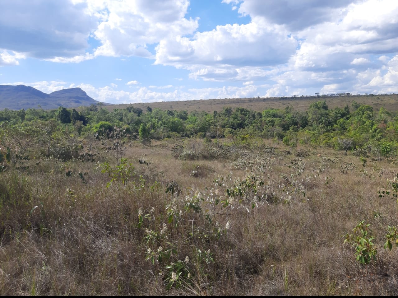 Imagem Fazenda à Venda, 5 HAem Centro - Alto Paraíso de Goiás