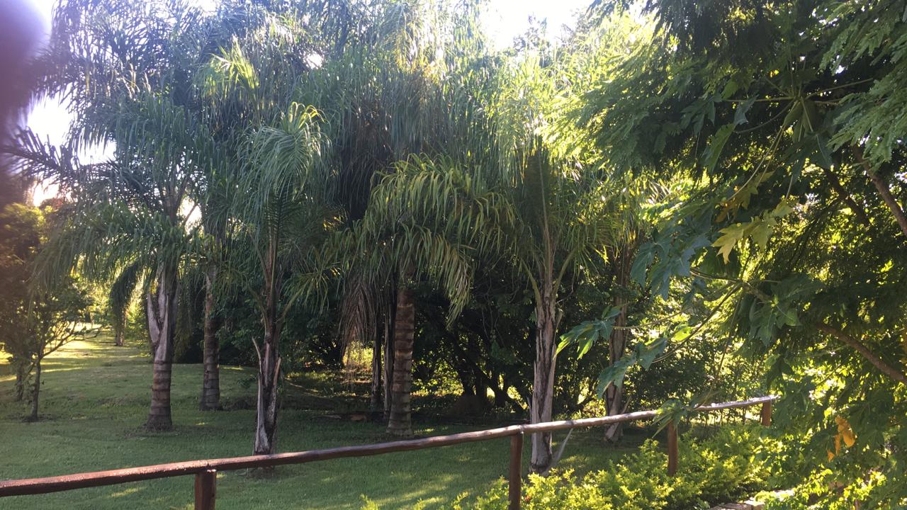 Imagem Terreno em Condomínio à Venda, 545 m² em Condomínio Reserva da Serra - Jundiaí