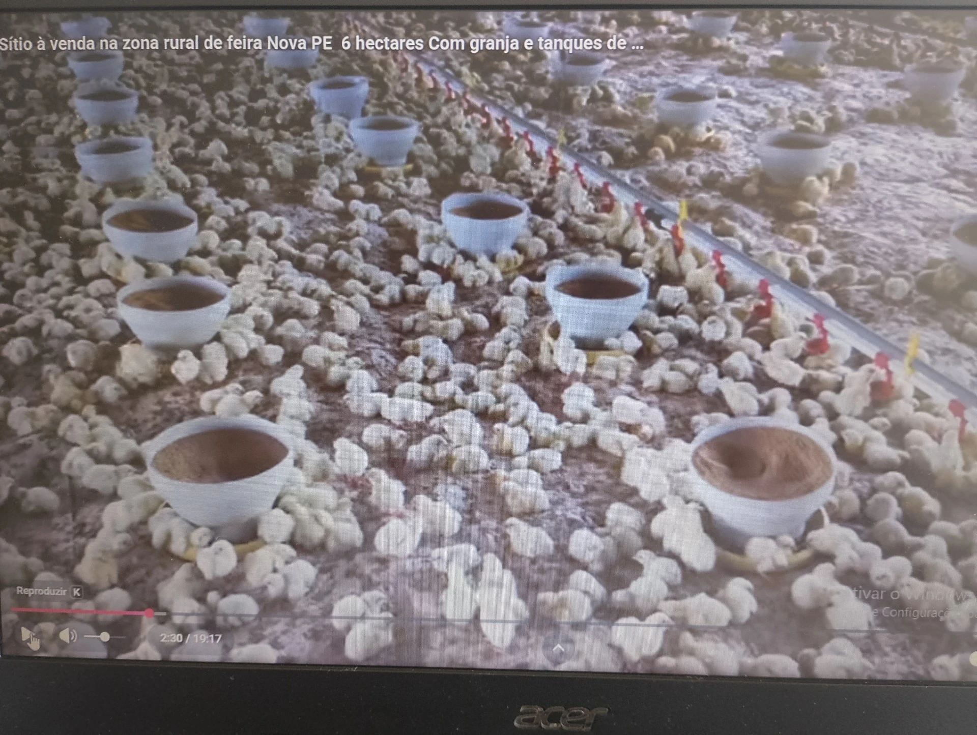 Foto do imóvel: Fazenda à Venda, 7 HA em São José - Carpina