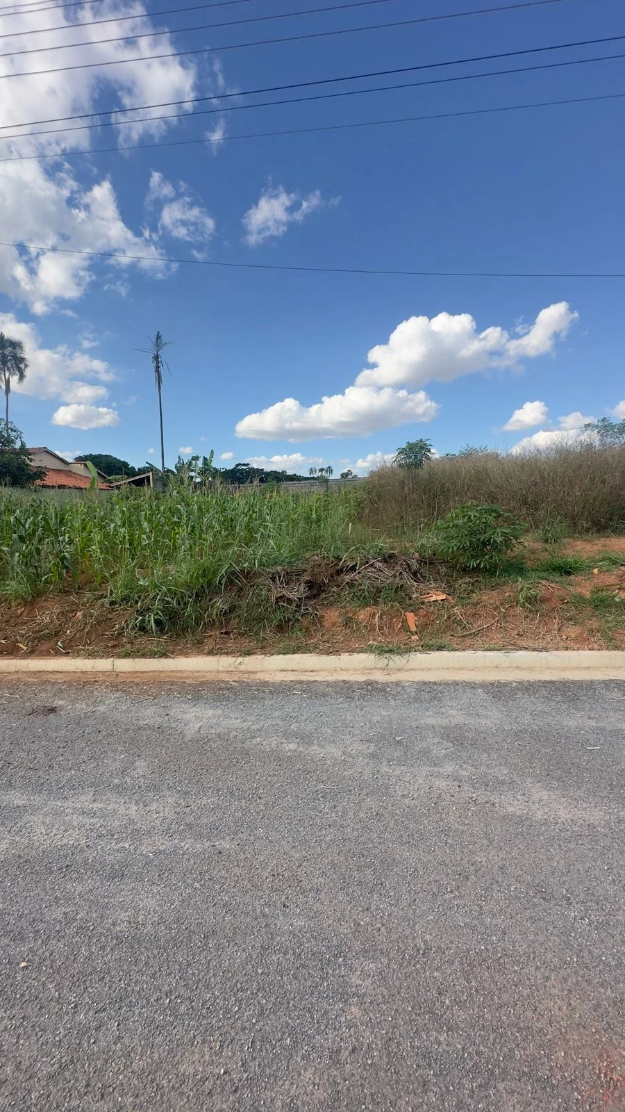 Imagem Terreno em Condomínio à Venda, 312 m² em Condomínio União - Goiânia