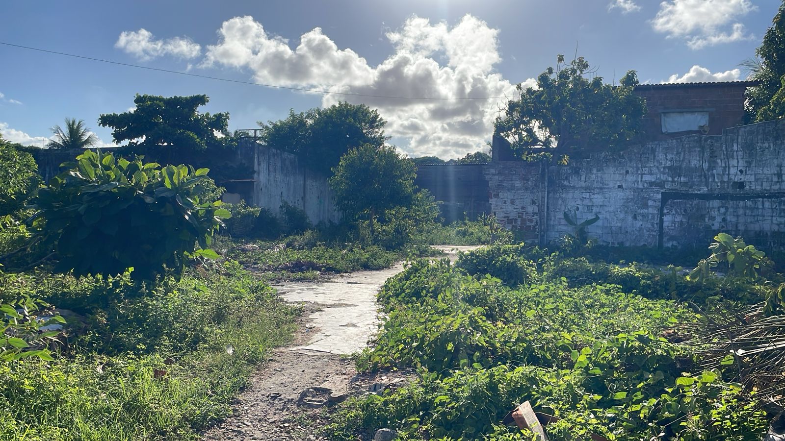 Imagem Terreno à Venda, 1.400 metro em Barra de Jangada - Jaboatão dos Guararapes
