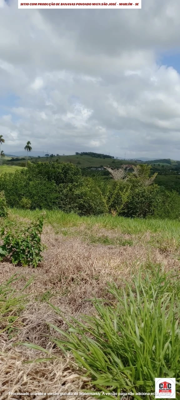 Foto do imóvel: Chácara com 2 Quartos à Venda, 80 m² em Maruim - Maruim