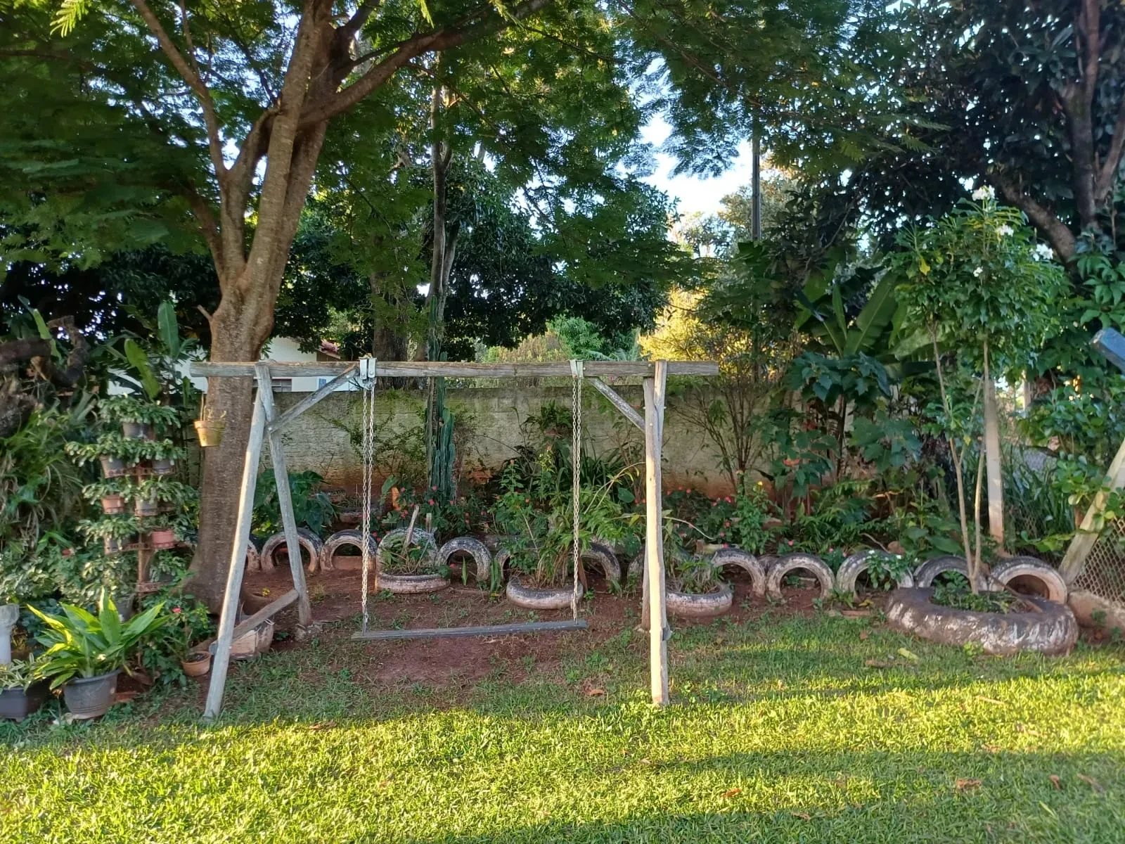 Imagem Chácara com 6 Quartos à Venda, 400 m² em Pitangueiras - Pitangueiras