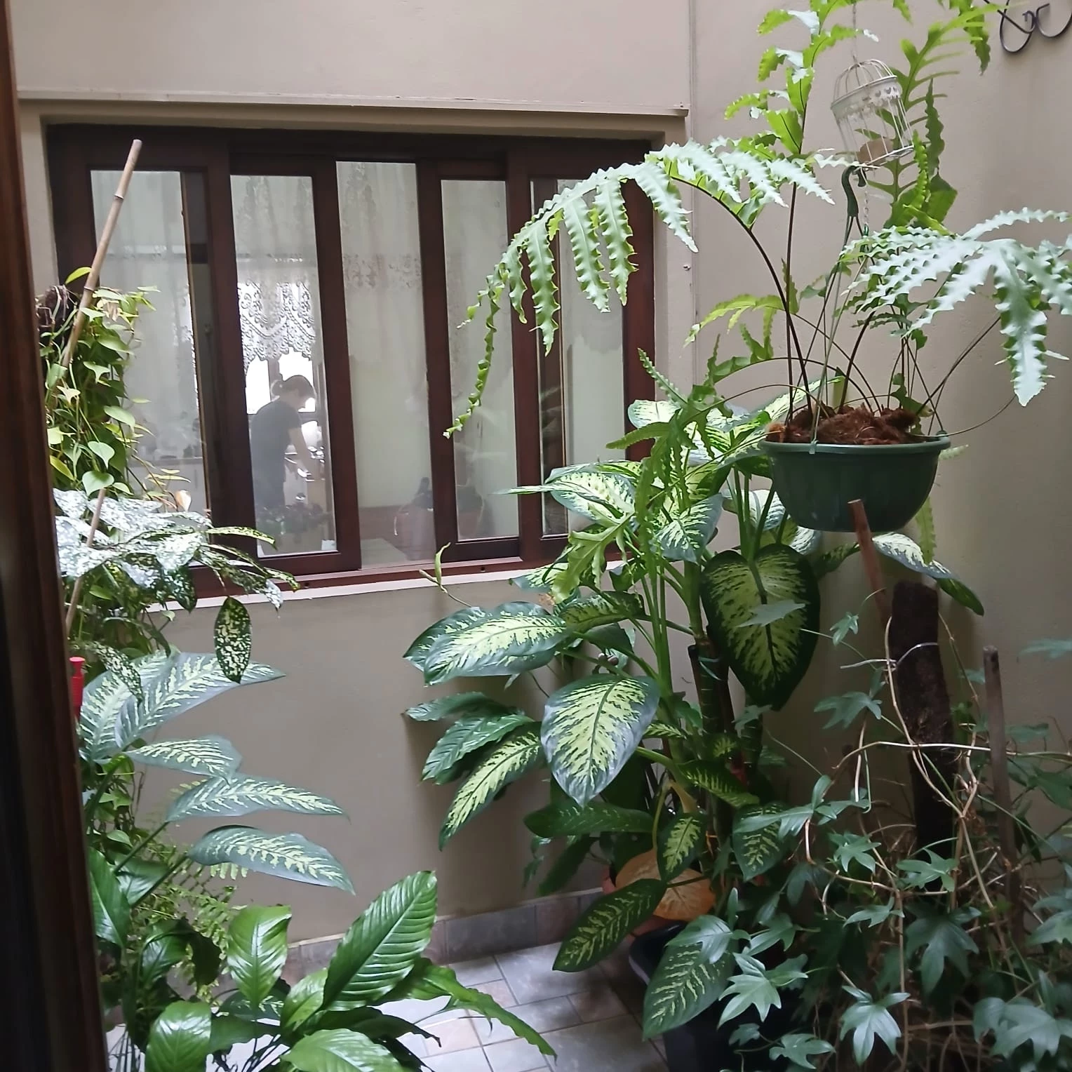 Foto do imóvel: Sobrado com 3 Quartos à Venda, 259 m² em Nova Petrópolis - São Bernardo do Campo