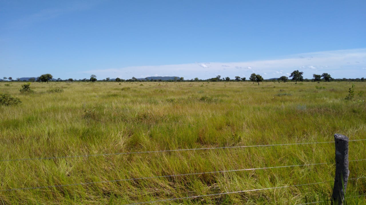 Imagem Fazenda à Venda, 543 Alq GOem Zona Rural - Cocalinho