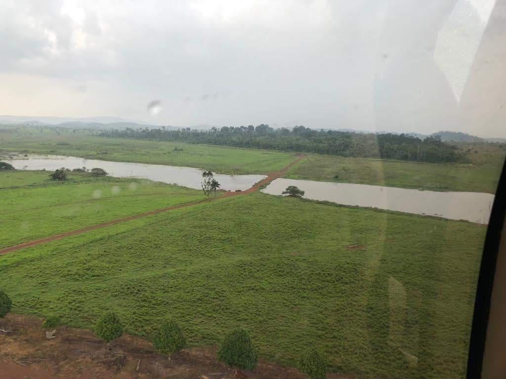 Foto do imóvel: Fazenda à Venda, 9.399 m² em Centro  - São Félix do Xingu