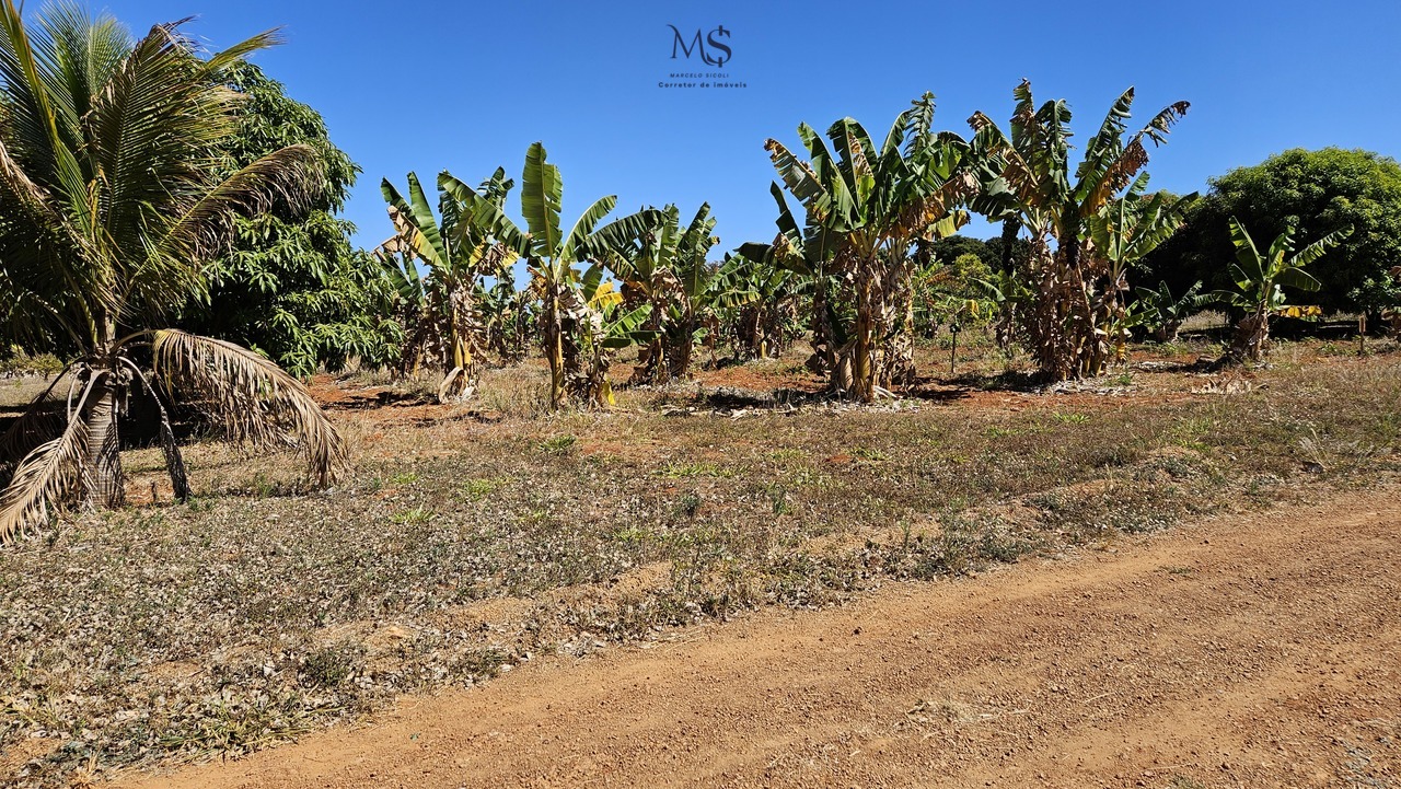 Imagem Terreno à Venda, 5000 m² em Zona de Dinamização (Santa Maria) - Brasília