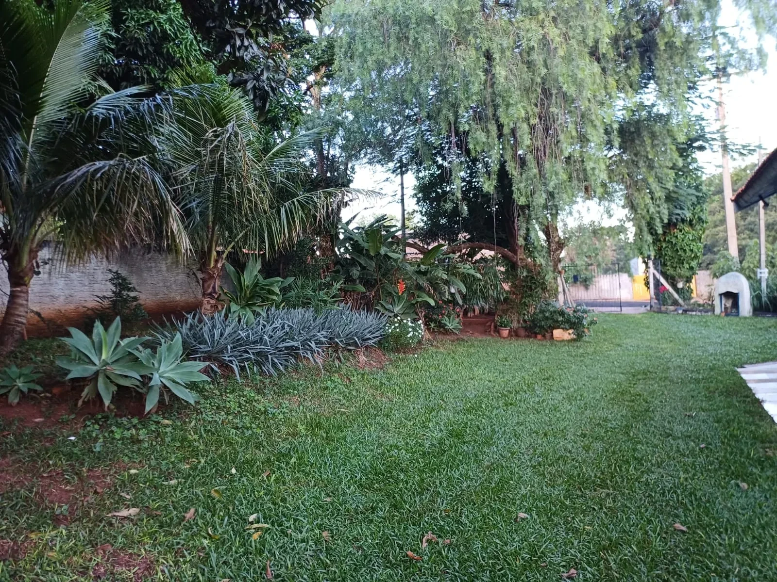 Imagem Chácara com 6 Quartos à Venda, 400 m² em Pitangueiras - Pitangueiras