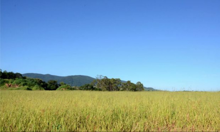 Imagem Terreno à Venda, 721 m²em Jardim Santa Teresa - Jundiaí