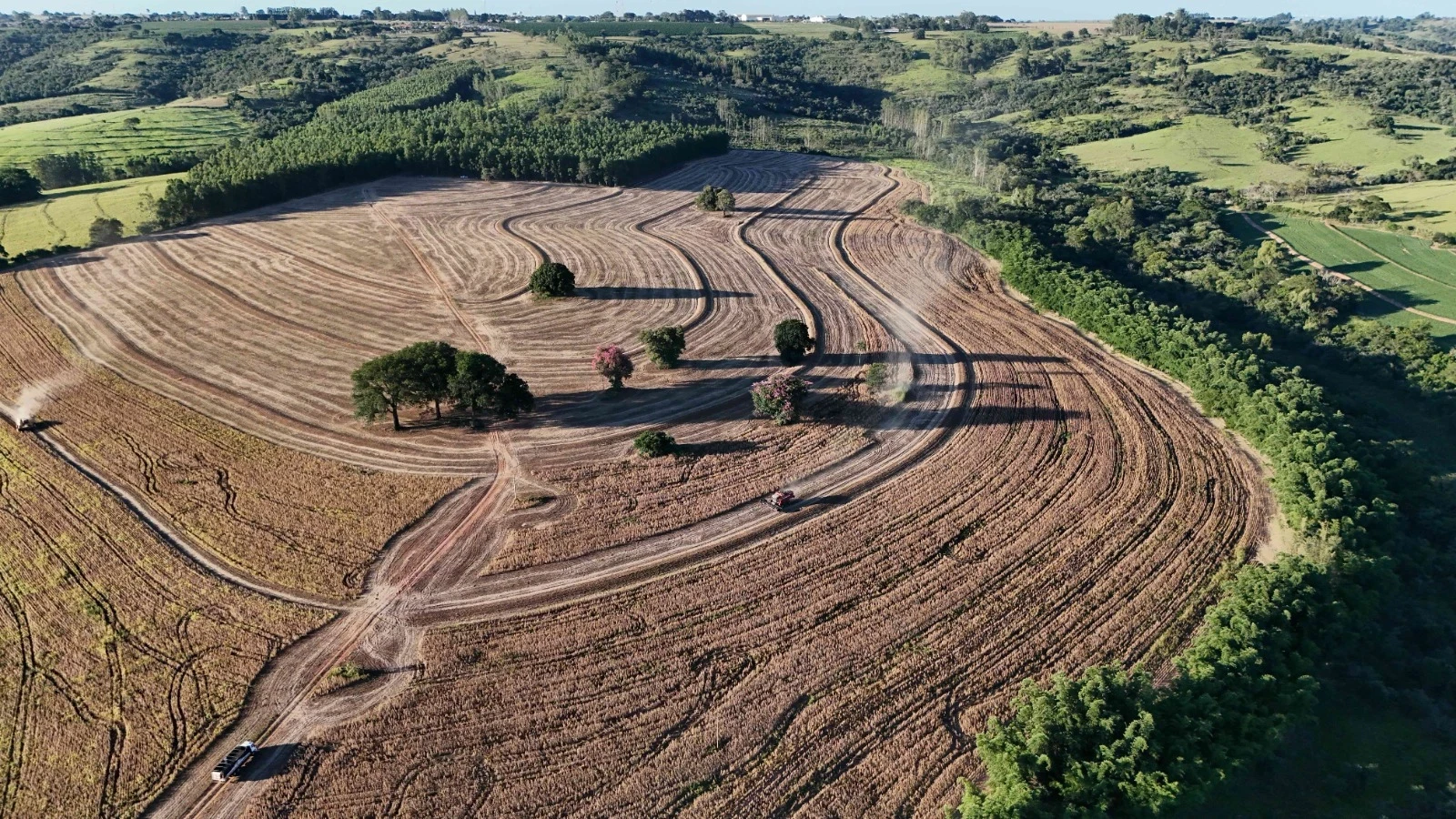 Imagem Fazenda à Venda, 138 HA em Área Rural de Echaporã - Echaporã