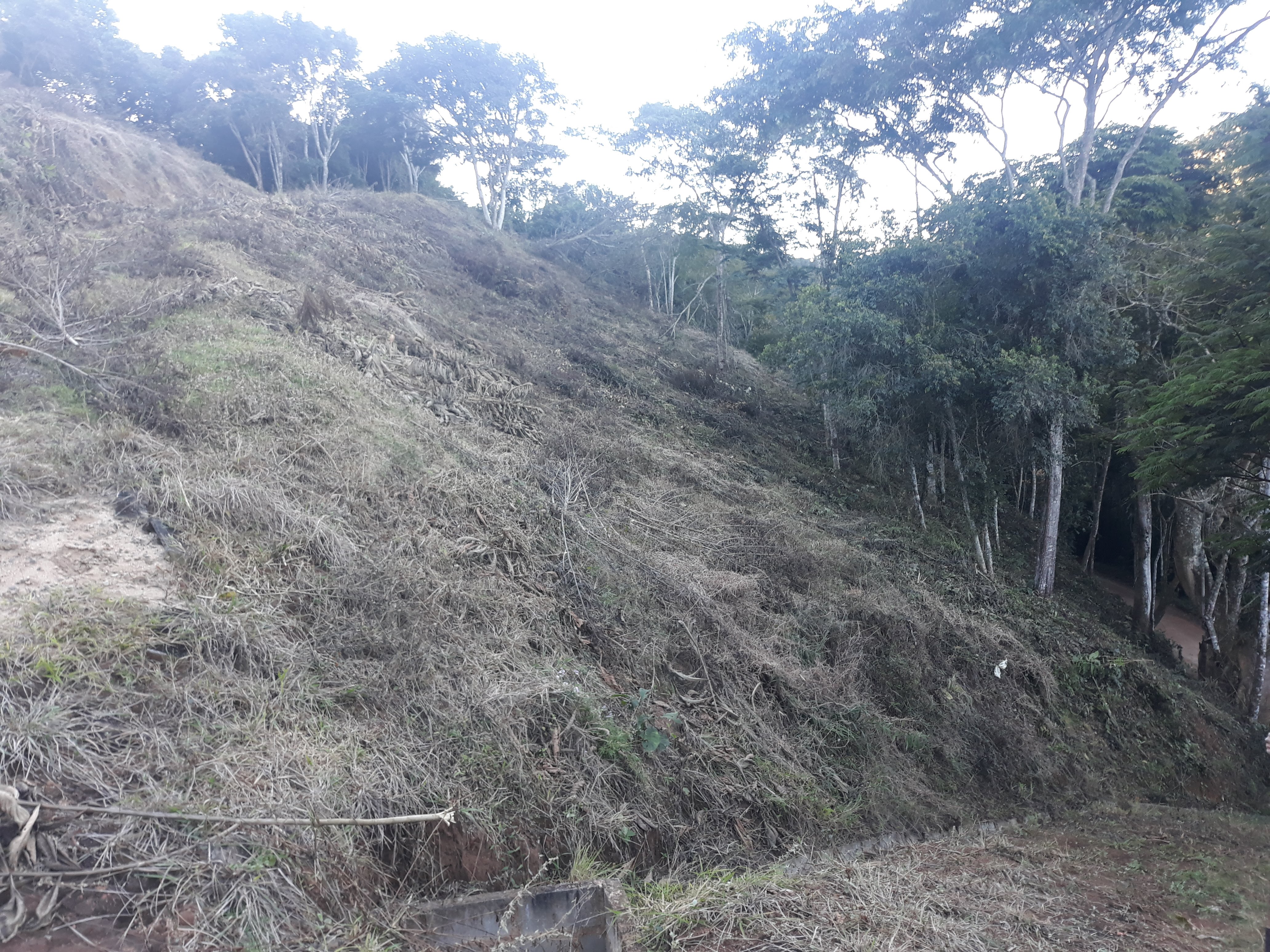 Imagem Terreno à Venda, em Torreões - Juiz de Fora