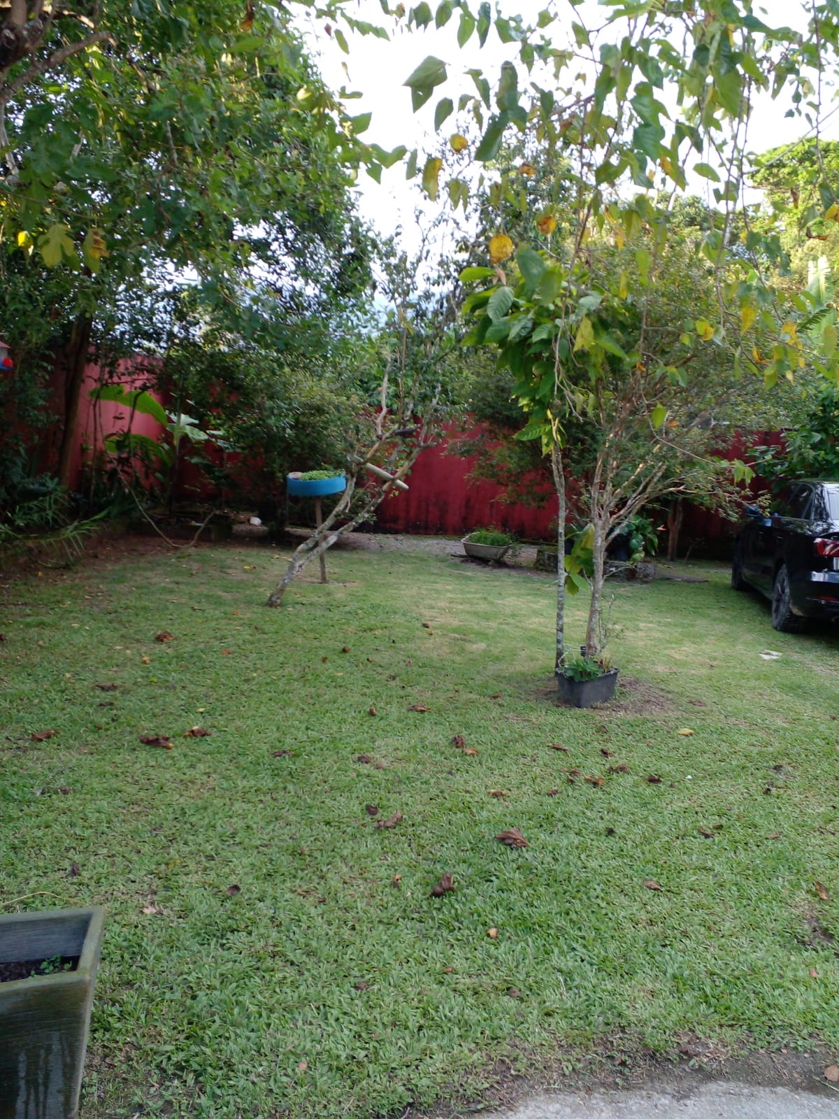 Imagem Chácara com 3 Quartos para Alugar, 600 m²em Boraceia - Bertioga