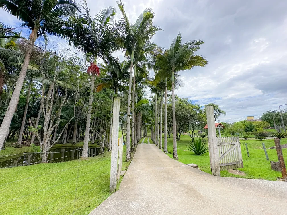 Foto do imóvel: Chácara com 3 Quartos à Venda, 15595 m² em Área Rural de Camboriú - Camboriú