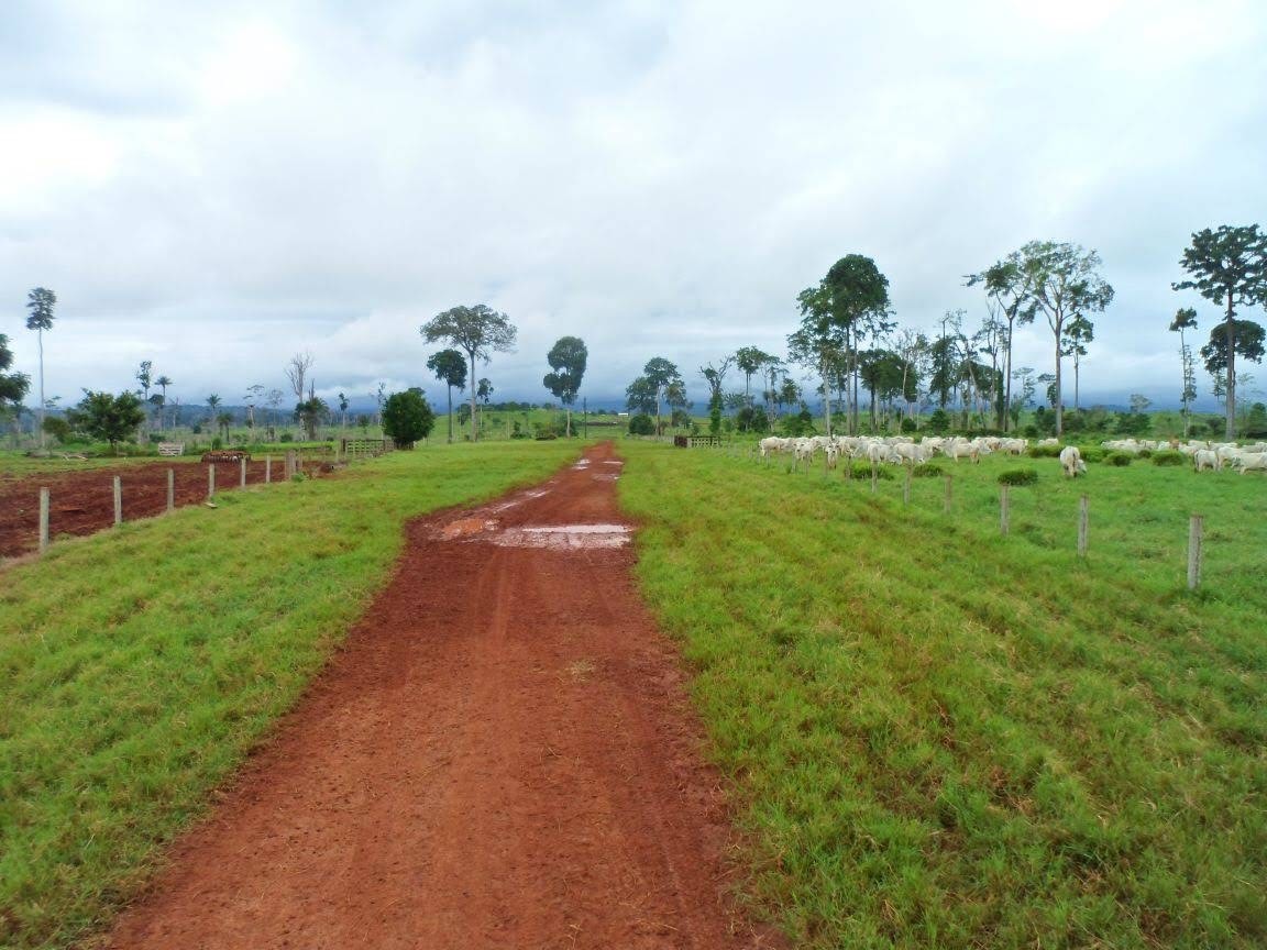 Foto do imóvel: Fazenda à Venda, 9.399 m² em Centro  - São Félix do Xingu