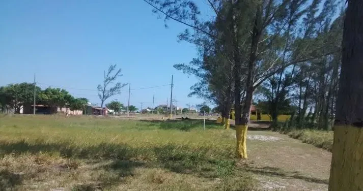 Imagem Terreno à Venda, 8510 metros em Balneário (Praia Seca) - Araruama