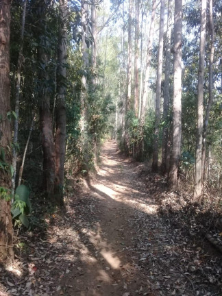 Imagem Terreno à Venda, 123.000 m² em Zona Rural - Santa Bárbara do Tugúrio