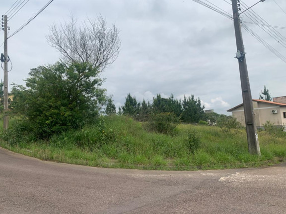Imagem Terreno à Venda,  em Linha Anta - Criciúma