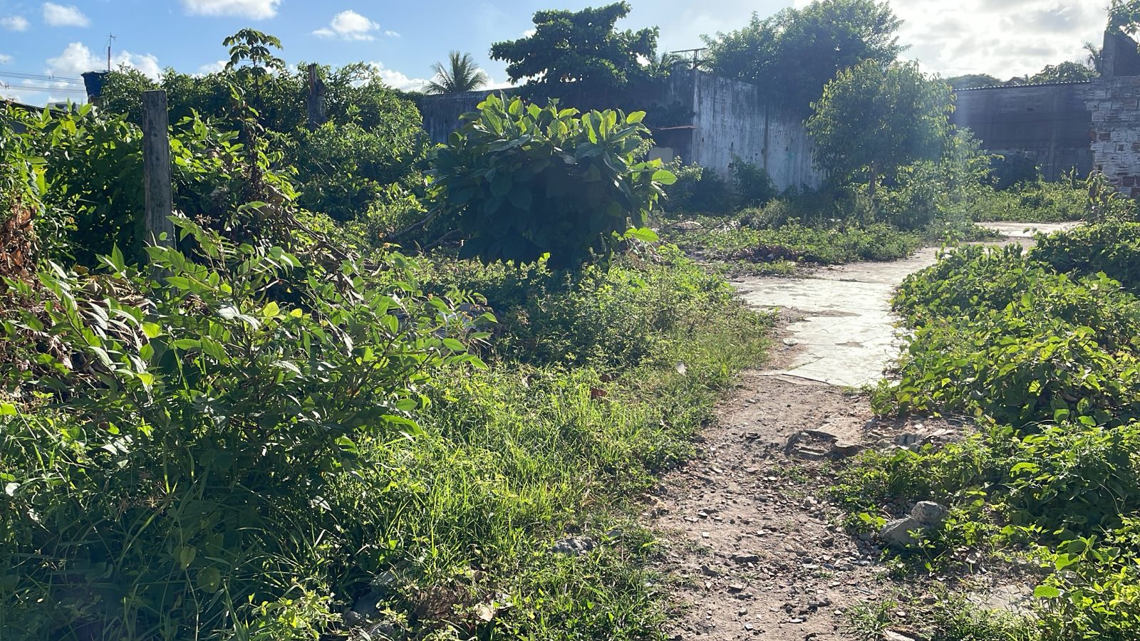 Imagem Terreno à Venda, 1.400 metro em Barra de Jangada - Jaboatão dos Guararapes