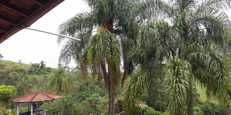 Imagem Chácara com 3 Quartos à Venda, 72.000 m² em Centro - Santa Isabel