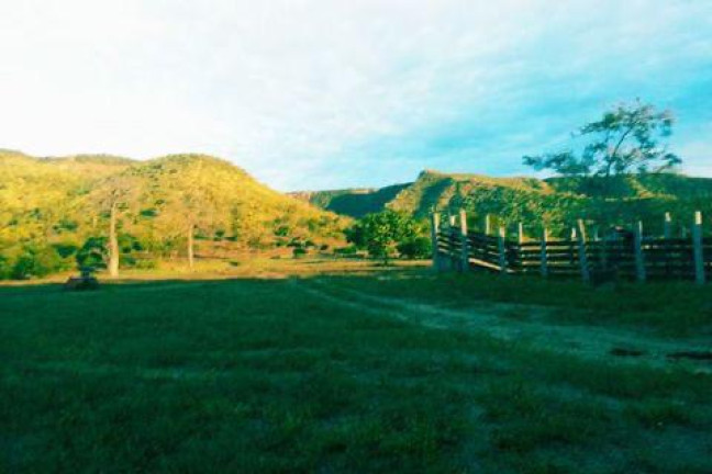 Imagem Chácara com 5 Quartos à Venda, em Centro - Simolândia